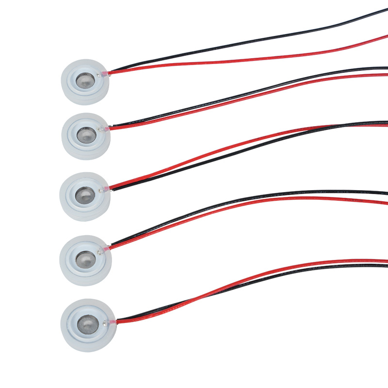 Piezo Verstuiverschijf Φ13.8mm Geurverspreider Schoonheidsverwarmer Luchtbevochtiger Micro Mesh Verstuiverschijf