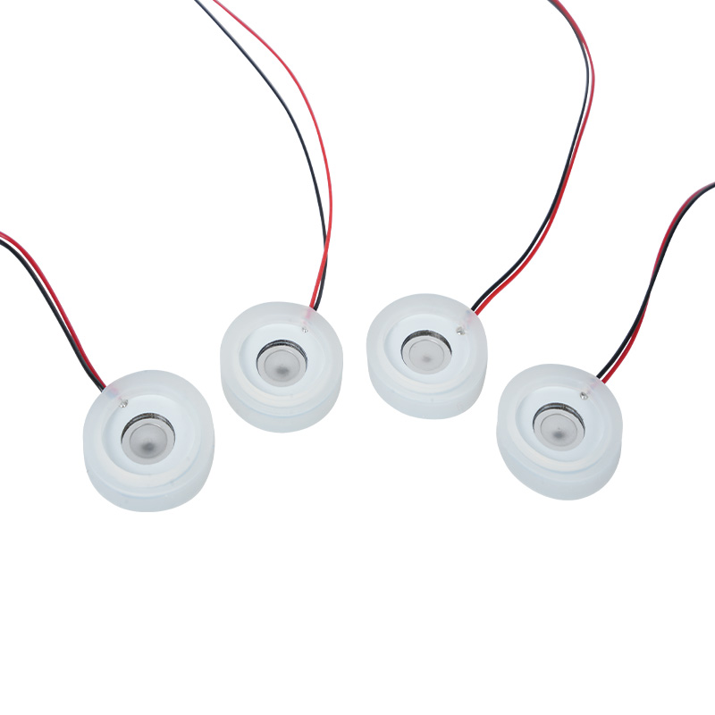 Φ15 mm elektronisch apparaat voor stoppen met rokenSchoonheidsinstrumentMedische mesh-vernevelingsbakLuchtbevochtigerAromatherapie FoggerVerwarmerMesh-vernevelingsbakRoestvrij staal Micro Mesh-vernevelingstabletROHS