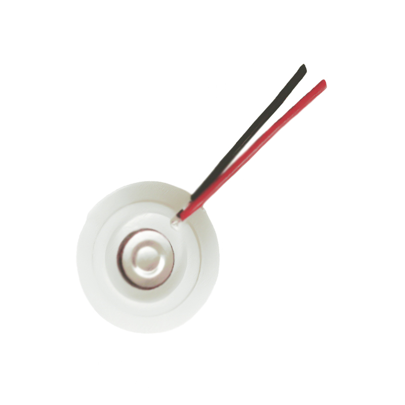 16-112KHZ Fan Schoonheid Luchtbevochtiger Vernevelingstablet Spraygat Tablet Mesh Mesh Vernevelingslade Roestvrijstalen gaas Ultrasone vernevelingstablet Aromatherapie Essentiële oliebevochtiging Micro Hole Vernevelingslade