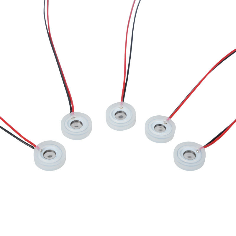 10 mm micro-kleine piëzo-elektrische micro-mesh-vernevelaar Stuk neuswasser Vochtige ooginstrumentenspray Essentiële olie Aromatherapie Microvormige kleine desinfectie Bevochtiging Vernevelaar Speciaal, de kracht van kleine micro-mesh-sproeigaten Stuk diafragma Instelbaar Vernevelingssnelheid Instelbaar Deeltjes instelbaar