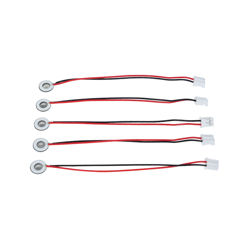 Geminiaturiseerde producten Φ8mm Inhaleerbaar medisch mesh-vernevelingsbakje Kleine hoeveelheid verstuiving Bevochtiging met vernevelingsbakje Geurende vernevelingsbakje