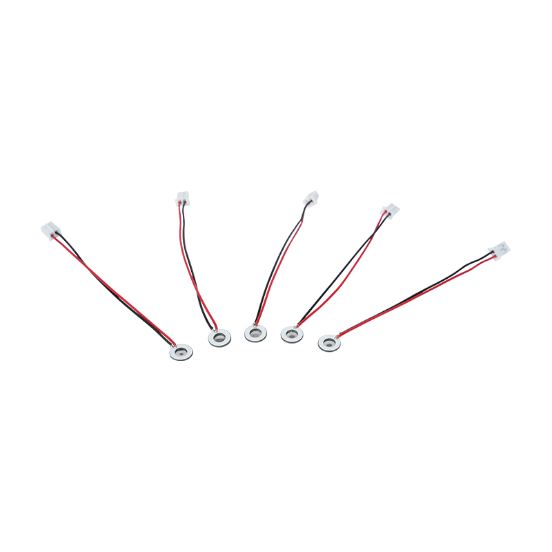 Φ8mm Micro-luchtbevochtiger Oogbevochtiger Mondspray Luchtverfrisser Neusspray Micro Mesh Verstuiverschijf Mini-apparaat Verneveling Luchtbevochtigerblad