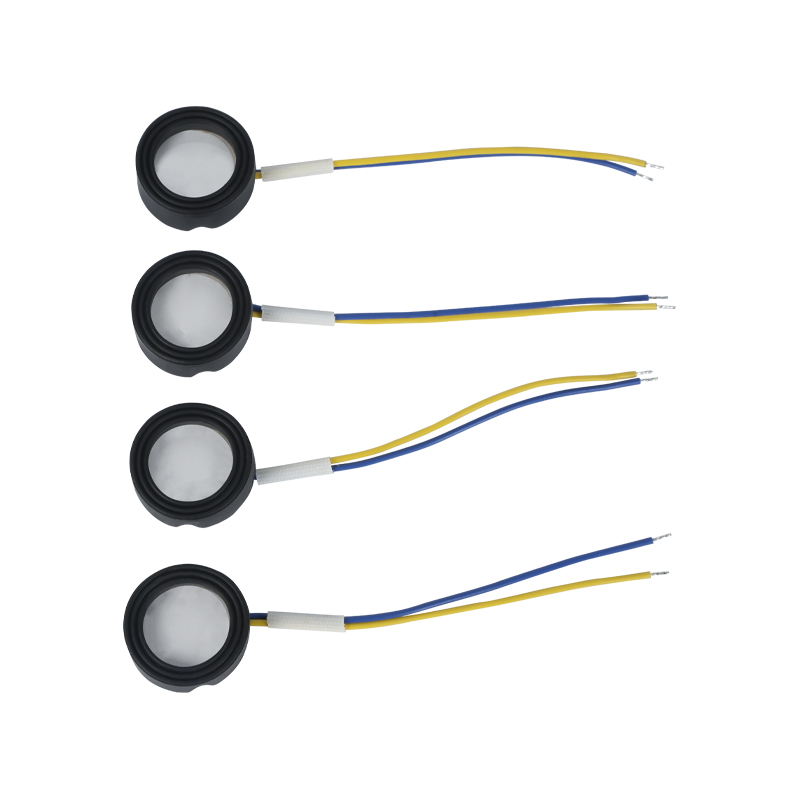 25 mm 1,7 mhz Ultrasone hoogfrequente verneveling Voetenbad Wigwam Wolk Mist Landschapsarchitectuur Grote hoeveelheid verneveling Piëzo-elektrische keramische transducer Oscillerende verstuiver Hoog vermogen 220v36w