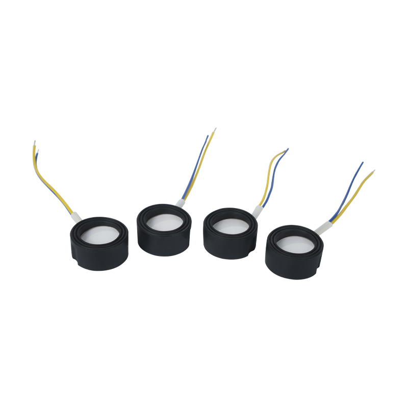 25 mm 1,7 mhz Ultrasone hoogfrequente verneveling Voetenbad Wigwam Wolk Mist Landschapsarchitectuur Grote hoeveelheid verneveling Piëzo-elektrische keramische transducer Oscillerende verstuiver Hoog vermogen 220v36w