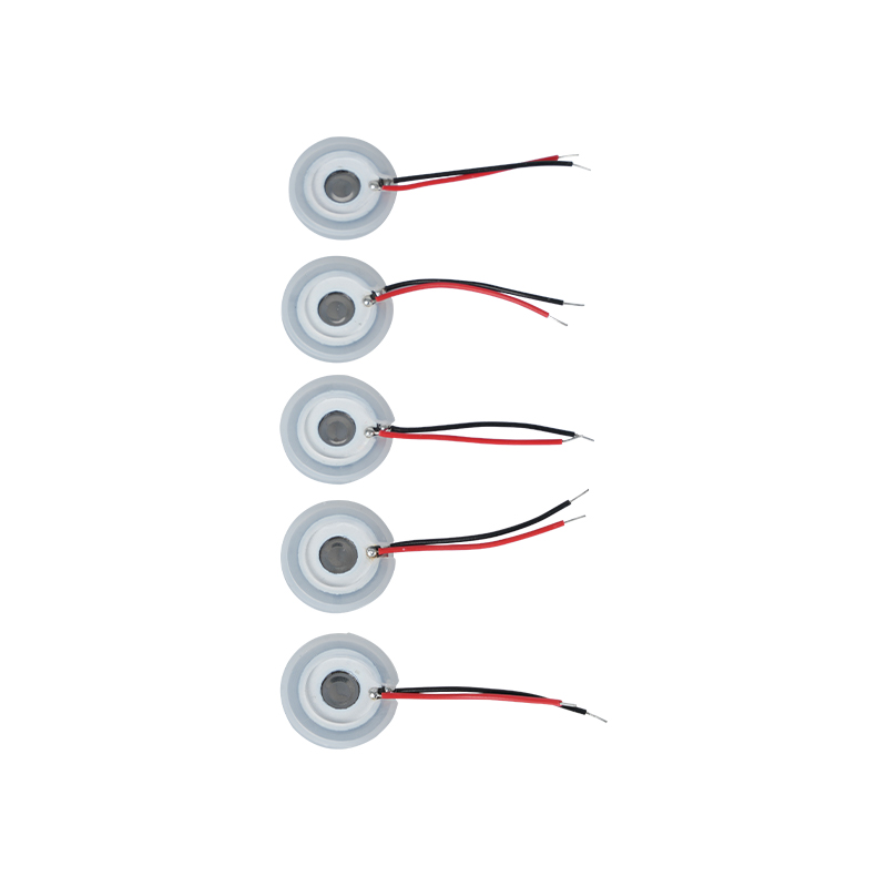 Roestvrijstalen gaas Ultrasoon vernevelingsbladBevochtiging van aroma-etherische olieMicroporeuze vernevelingsbak16-110KHZ-spuitbladGatenspuitbladMesh Mesh-vernevelingsbak
