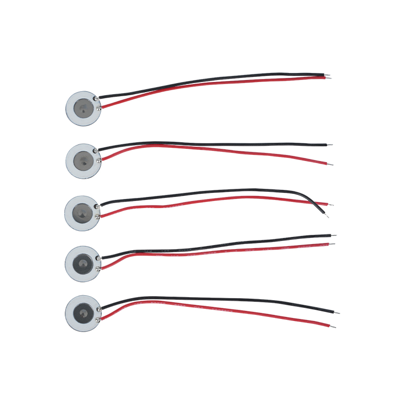 10 mm roestvrijstalen microporeuze verstuiver Schoonheidshydratatie-instrument Orale spray Parfumspray Bevochtiging Desinfectie Mesh-verstuiver Ook van toepassing op elektronische apparaten voor stoppen met roken en andere producten