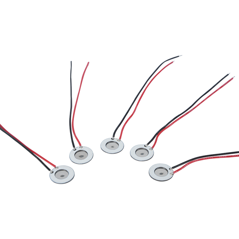 10 mm roestvrijstalen microporeuze verstuiver Schoonheidshydratatie-instrument Orale spray Parfumspray Bevochtiging Desinfectie Mesh-verstuiver Ook van toepassing op elektronische apparaten voor stoppen met roken en andere producten
