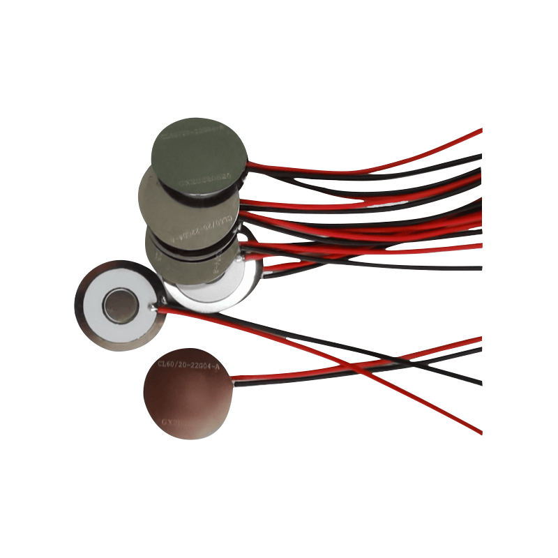 Φ15 mm elektronisch apparaat voor stoppen met rokenSchoonheidsinstrumentMedische mesh-vernevelingsbakLuchtbevochtigerAromatherapie FoggerVerwarmerMesh-vernevelingsbakRoestvrij staal Micro Mesh-vernevelingstabletROHS